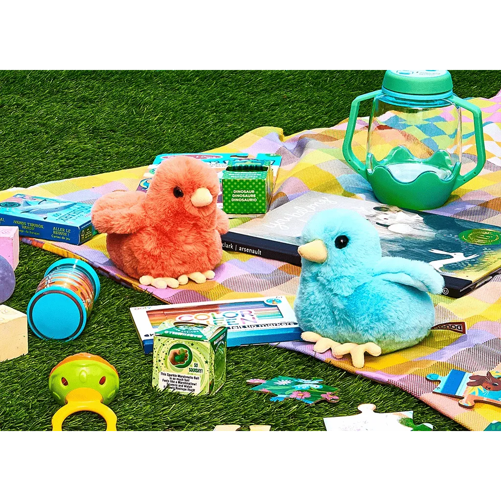 Colorful Chicks Assortment