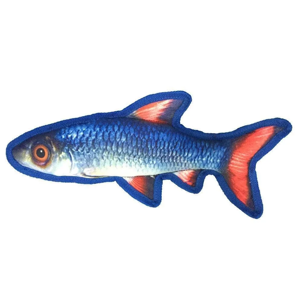 Dogline Tropical Shiner Fish Dog Toy