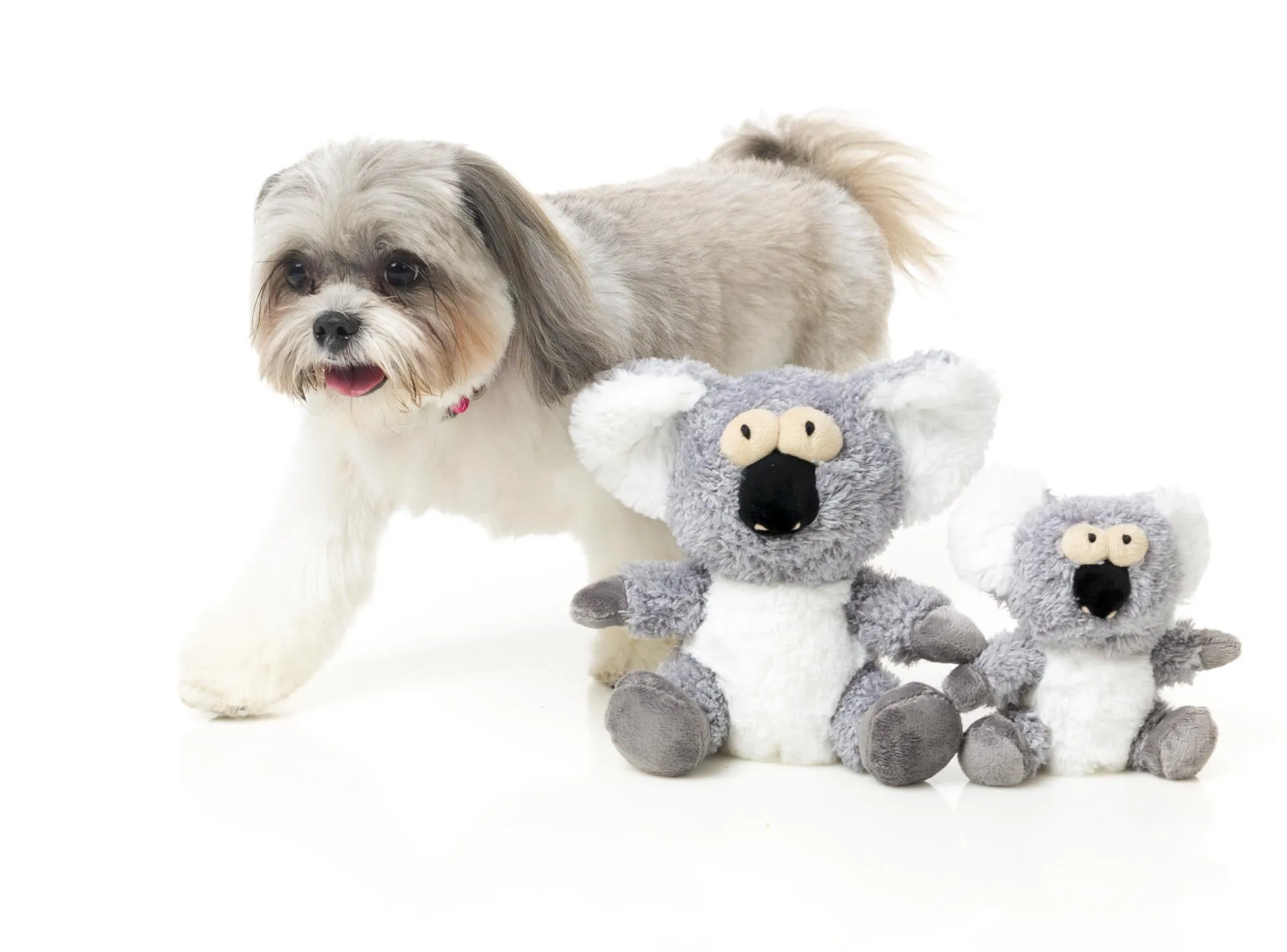 FuzzYard Kana The Koala Dog Toy