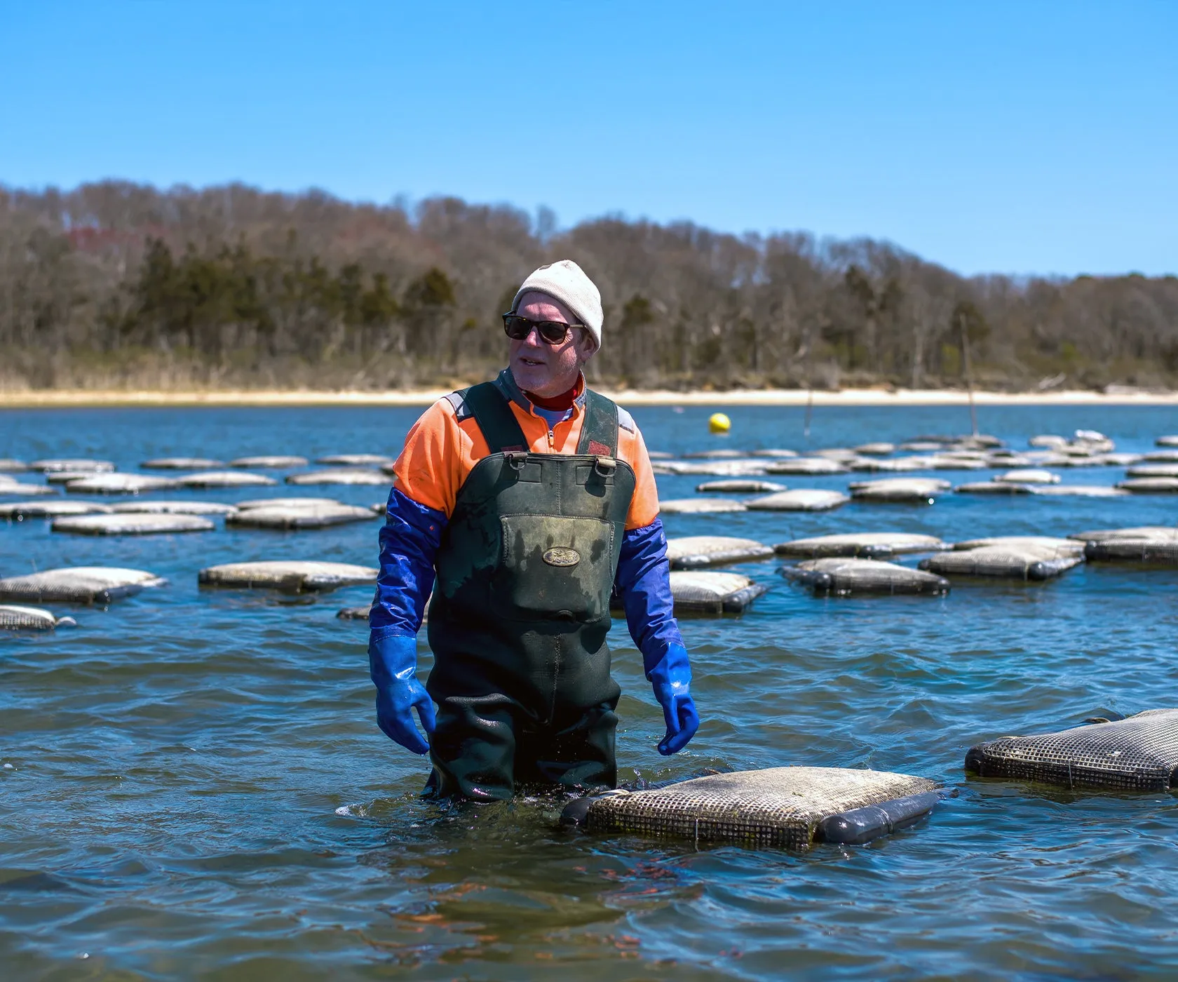 Great Gun Oysters from East Moriches, NY